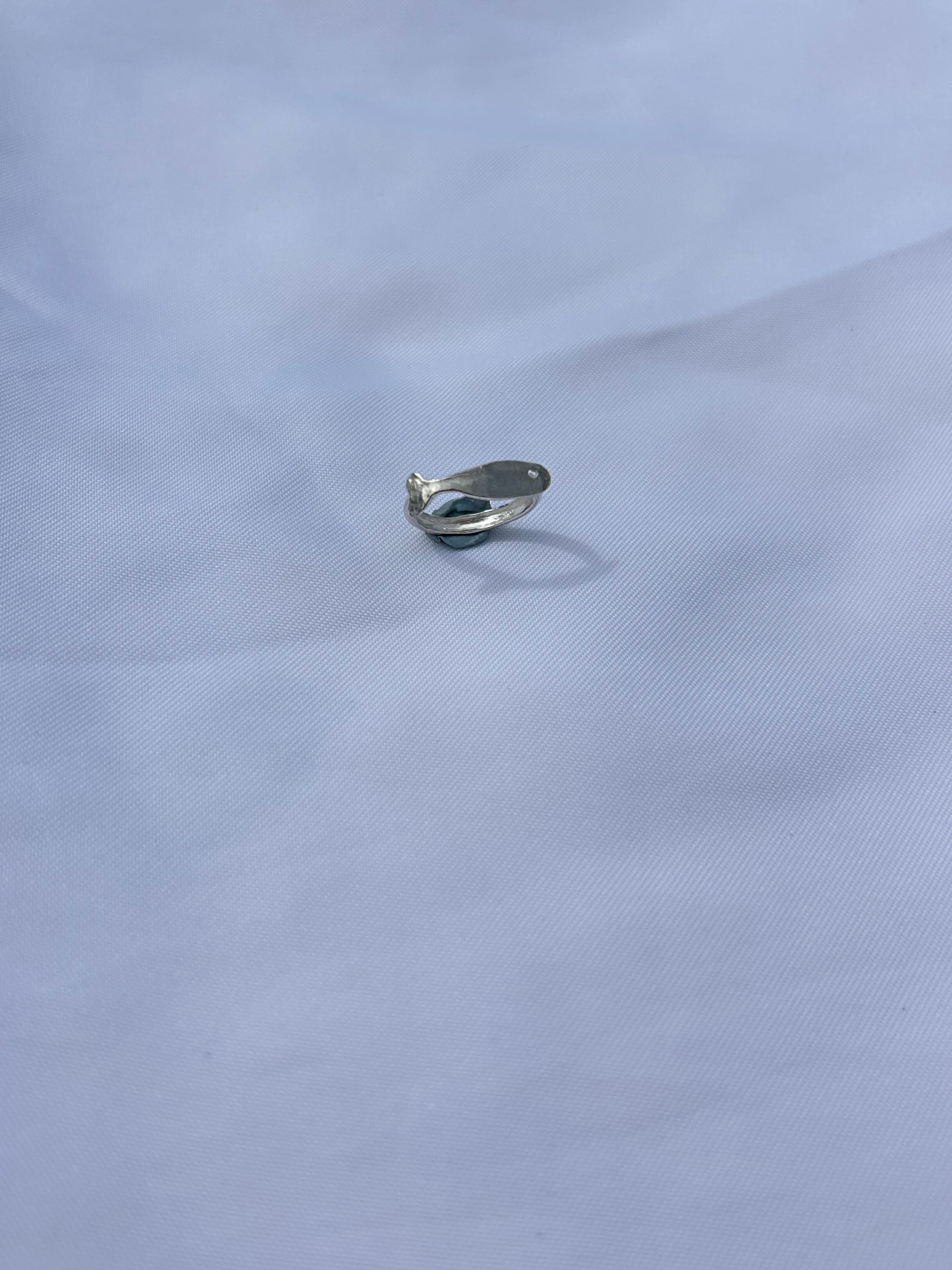 Tiny fish ring