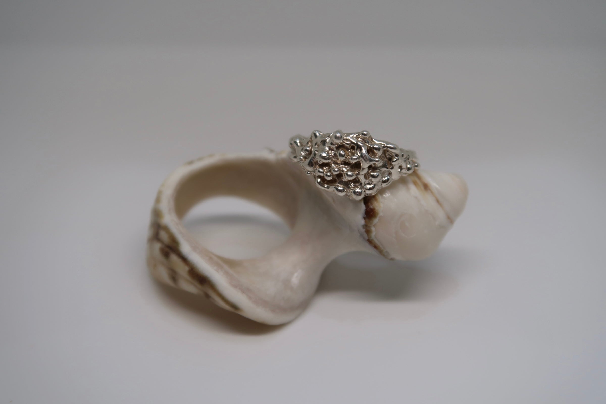 Coral ring