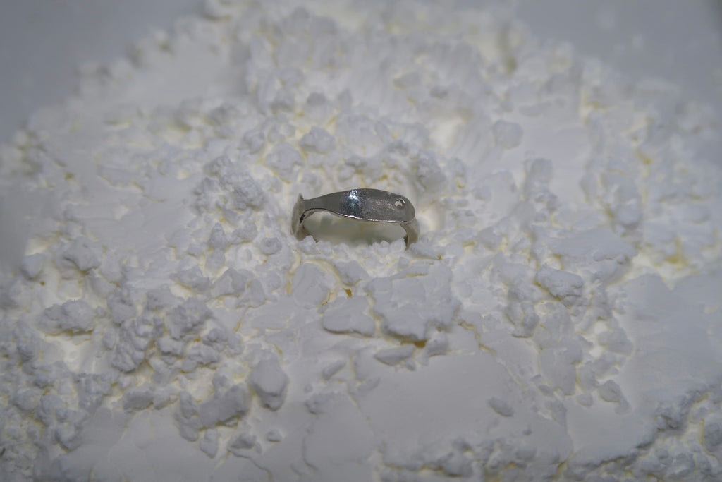 Tiny fish ring